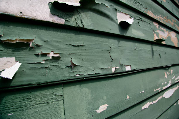Best Stucco Siding  in Coal Grove, OH