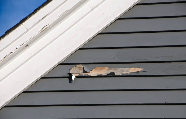 Storm Damage Siding Repair in Coal Grove, OH
